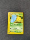 Sunflora