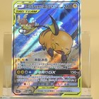 Raichu & Alolan Raichu GX