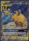 Raichu & Alolan Raichu GX