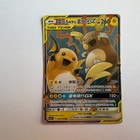 Raichu & Alolan Raichu GX