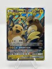 Raichu & Alolan Raichu GX
