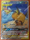 Raichu & Alolan Raichu GX