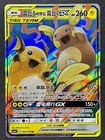 Raichu & Alolan Raichu GX