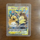 Raichu & Alolan Raichu GX