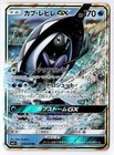 Tapu Fini
