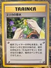 Erika's Perfume
