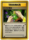 Erika's Perfume