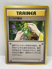 Erika's Perfume