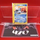Piloswine