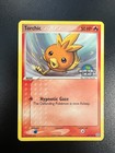 Torchic