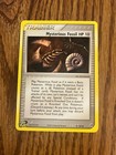 Mysterious Fossil