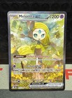 Meloetta ex