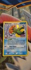 Bellossom