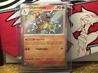 Charmeleon