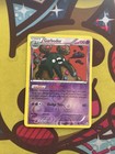 Garbodor