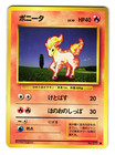Ponyta