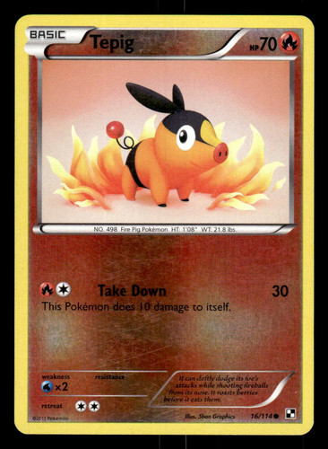 Tepig