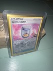 Egg Incubator