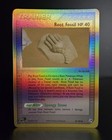 Root Fossil