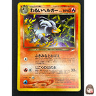 Team Rocket's Houndoom