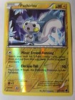 Pachirisu