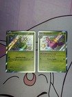 Hoppip