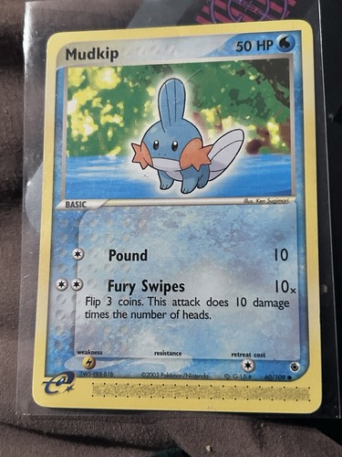 Mudkip