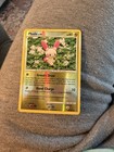 Plusle