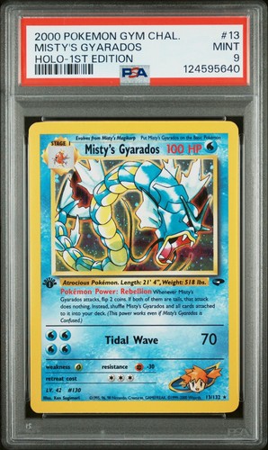 Misty's Gyarados