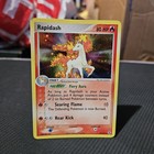 Rapidash