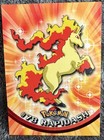 Rapidash