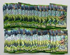 Booster Pack