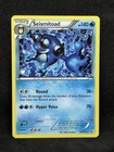 Seismitoad