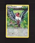 Swellow