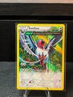 Swellow