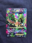 Mega Sceptile EX