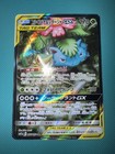 Venusaur & Snivy Tag Team GX