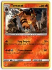 Torracat