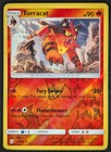 Torracat