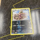 Krokorok