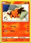 Tepig