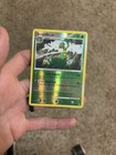 Sceptile