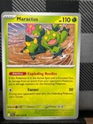 Maractus
