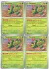 Maractus