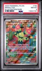 Maractus