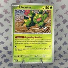 Maractus