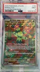 Maractus