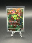 Maractus