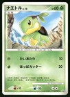 Turtwig