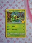 Turtwig